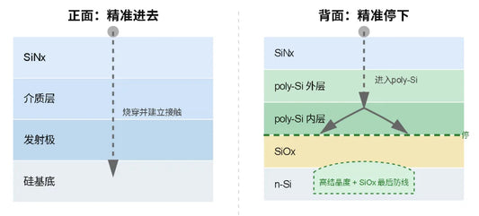 How Silver Paste Bites Through poly-Si on TOPCon Rear Side